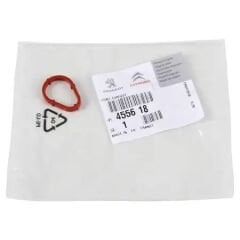 Peugeot 206+ Küçük Fren Pompa Contası PSA Orijinal 4556.18