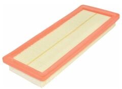 DS DS9 1.6 Thp Hava Filtresi Filtron AP196/4