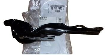 Citröen C-Elysee Sol Kaput Menteşesi PSA Orijinal 9674797280