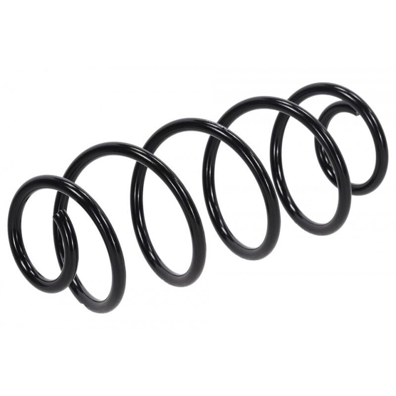 Peugeot 207 Arka Helezon Yayı BSG 70-305-007