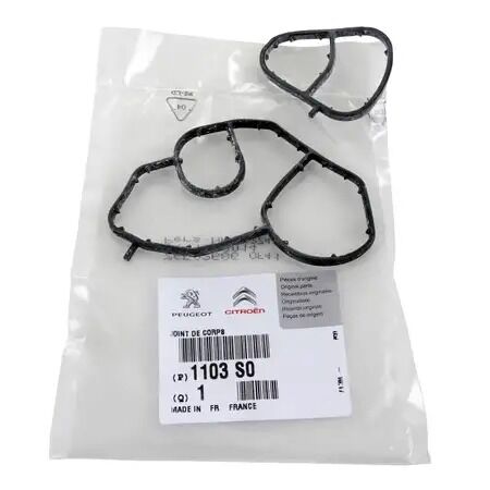 Ds3 1.6 Hdi Yağ Filtre Gövde Contası Orijinal 1103.S0