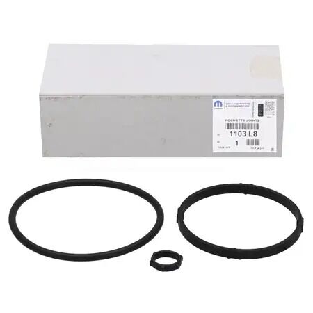 Citroen C4 1.6-1.4 Benzinli Yağ Filtre Hazne Contası Orijinal 1103.L8