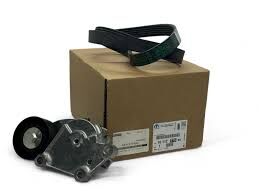 Ds4 1.6 Hdi Alternatör V Kayış Seti  Psa Orijinal 1611277580