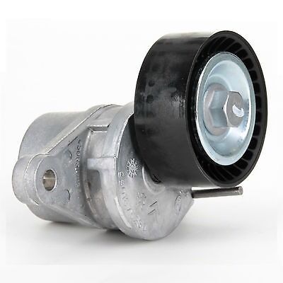 Citroen C4 Picasso 1.6 Hdi Euro5 Alternatör Gergi Bilyası Orijinal 1611426580