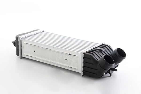 Citroen C3 1.6 Hdi Turbo İntercooler Radyatörü KALE 343700