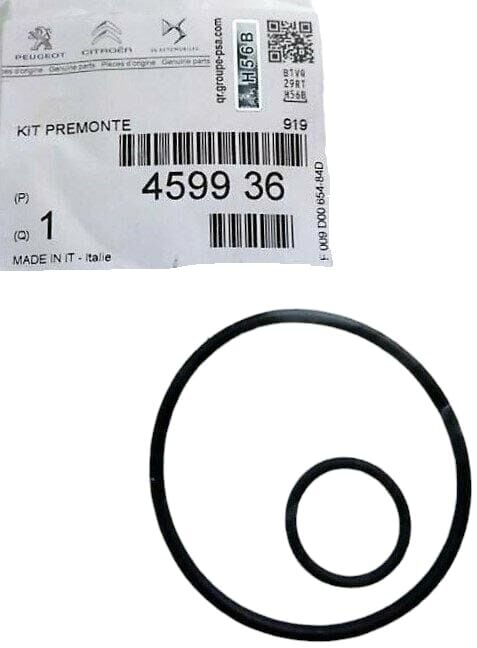 Peugeot Expert 3 Vakum Pompa Contası PSA Orijinal 4599.36