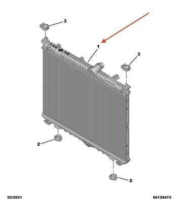 Citröen C4 C41 Su  Radyatörü PSA Orijinal 9825333880