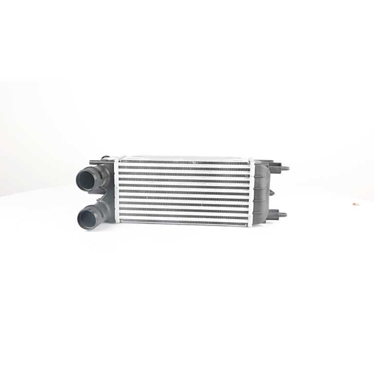Citroen C5 X7 1.6 Hdi Euro5 Turbo İntercooler Radyatörü KALE 0384.P5
